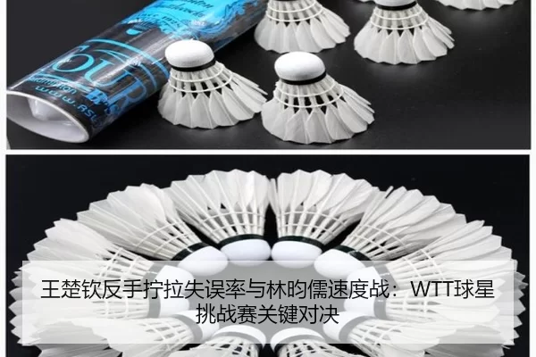 王楚钦反手拧拉失误率与林昀儒速度战：WTT球星挑战赛关键对决